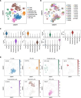 Integrative single-cell analysis of LUAD: elucidating immune cell dynamics and prognostic modeling based on exhausted CD8+ T cells